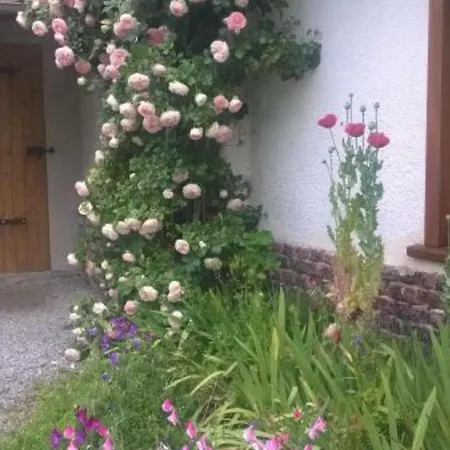 Charmante Maison Independante Avec Jardin Pres De La Riviere, Ideale Pour Familles Et Randonneurs - Fr-1-376-40